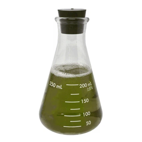 Inverted Conical Flask