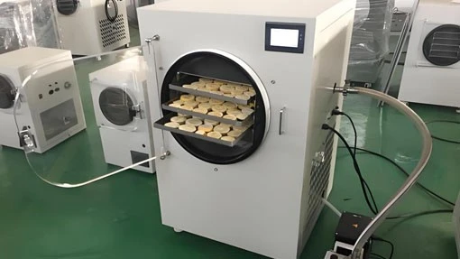Freeze Dryer Home Unit | Shaanxi Achieve chem-tech Freeze Dryer Home Unit | Shaanxi Achieve chem-tech